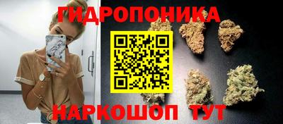 ПСИЛОЦИБИНОВЫЕ ГРИБЫ Краснодар