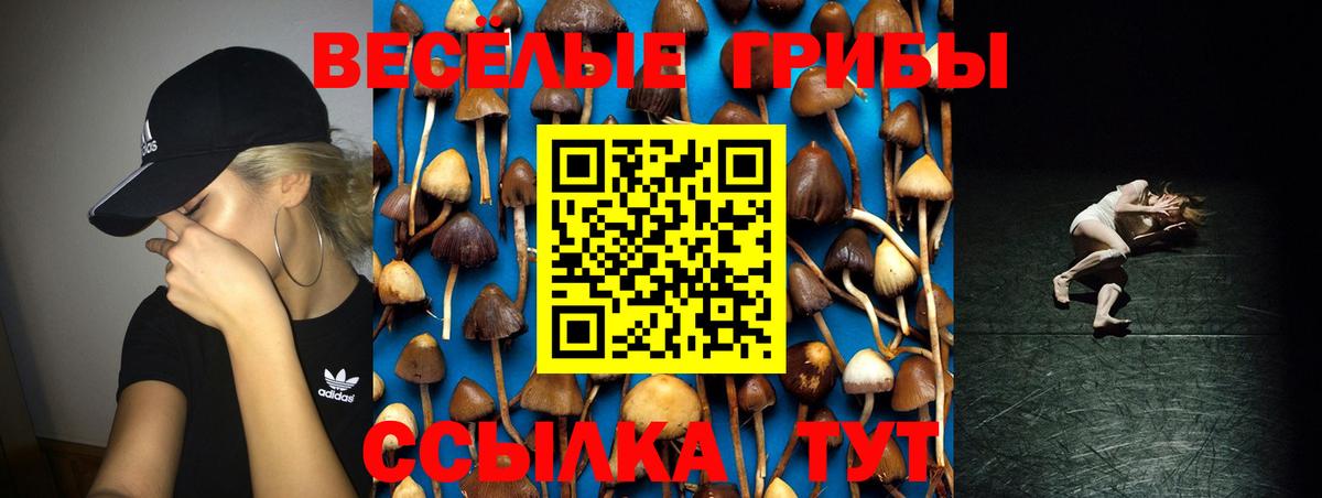 Галлюциногенные грибы MAGIC MUSHROOMS  Вход с VPN  Иваново 