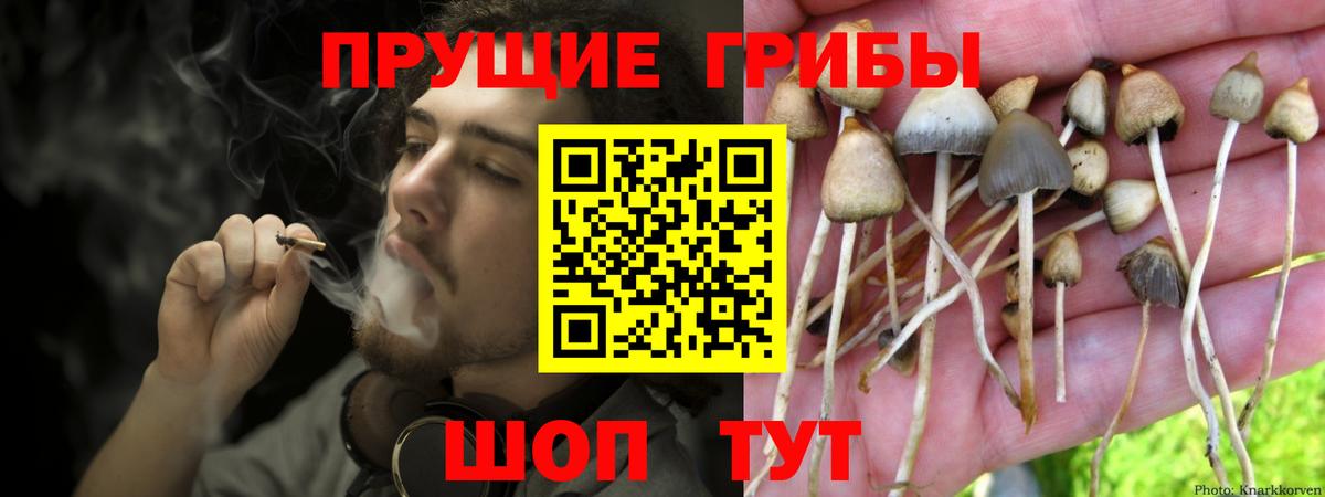 Галлюциногенные грибы Magic Shrooms Иваново